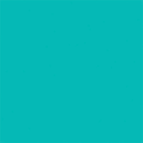 Aqua Blue Blue Solid Nintendo 2DS XL (2017) Skin